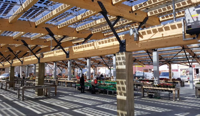 Projekt bez nazwy 10